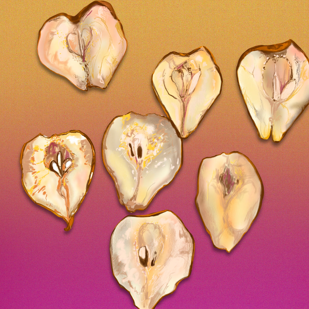 
            
                Load image into Gallery viewer, DEHYDRATED PEAR GARNISH
            
        